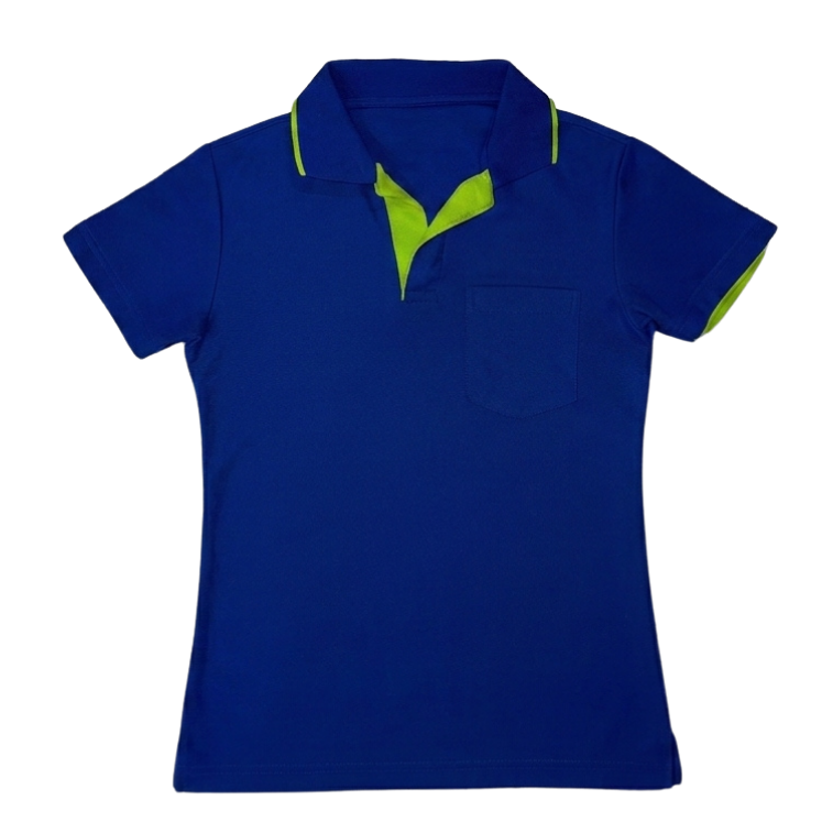 Corporate Blue